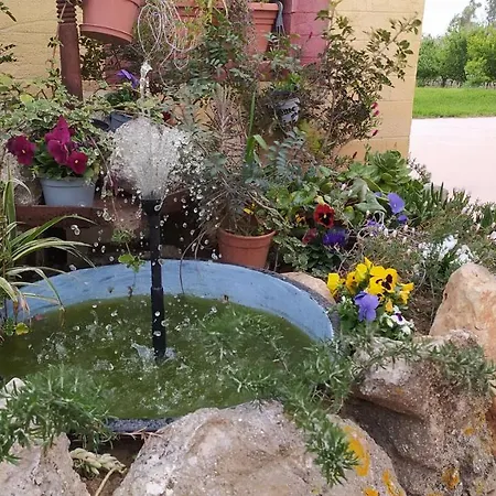 I Giganti Riola Sardo