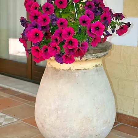 Bed & Breakfast I Giganti Riola Sardo